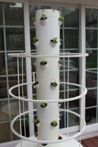 Hydroponic Tower Garden, May 2014