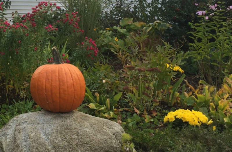 Things to Do in NH Include Carving This Pumpkin
